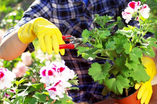 Gardener assessing a garden site