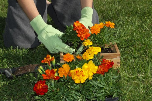 Professional gardener tending to a well-maintained outdoor garden.